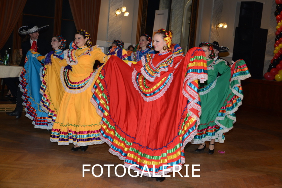 Fotogalerie