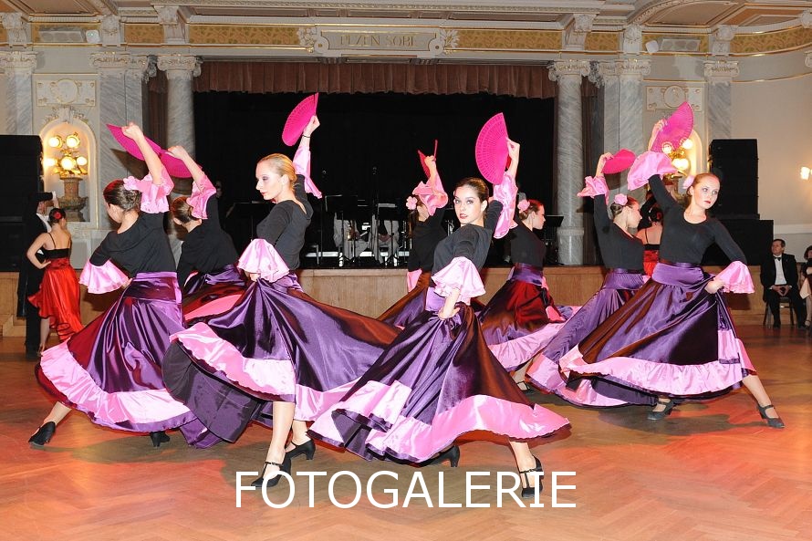 fotogalerie