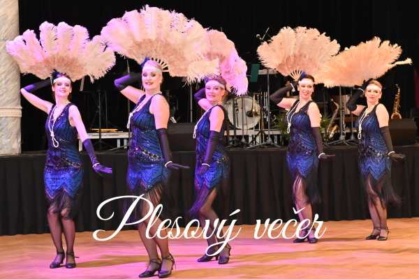 FOTOGALERIE - plesov� ve�er