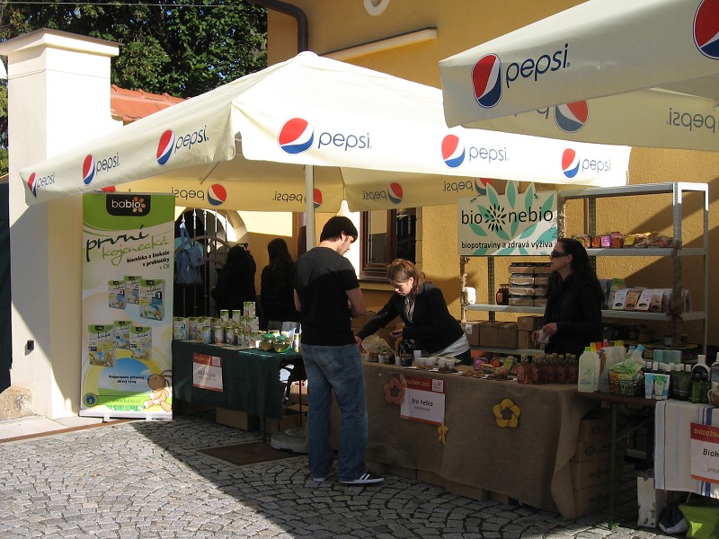 BIONDOŽÍNKY 2010