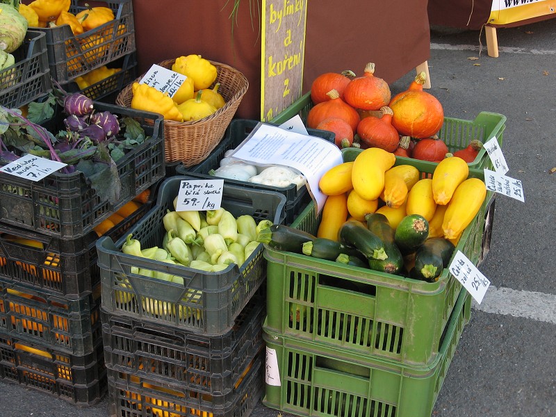BIONDOŽÍNKY 2010