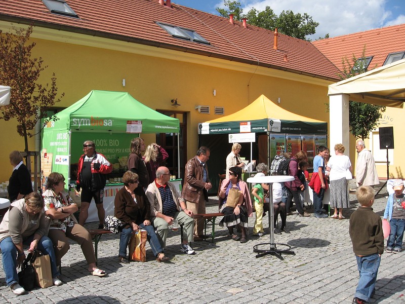 BIONDOŽÍNKY 2010