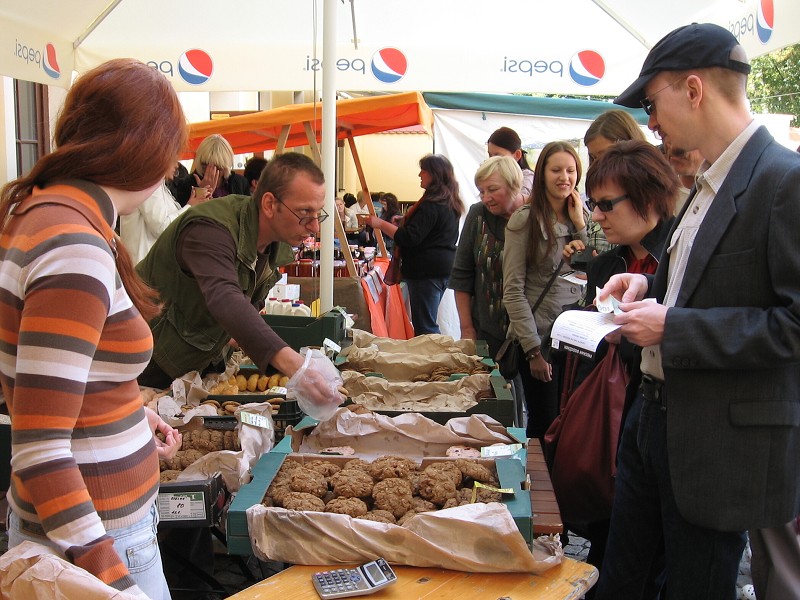 BIONDOŽÍNKY 2010