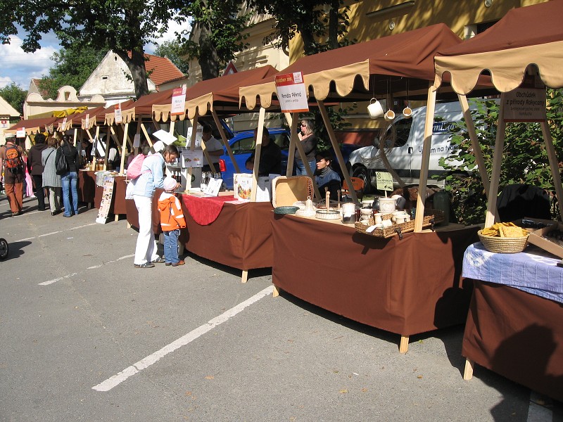 BIONDOŽÍNKY 2010