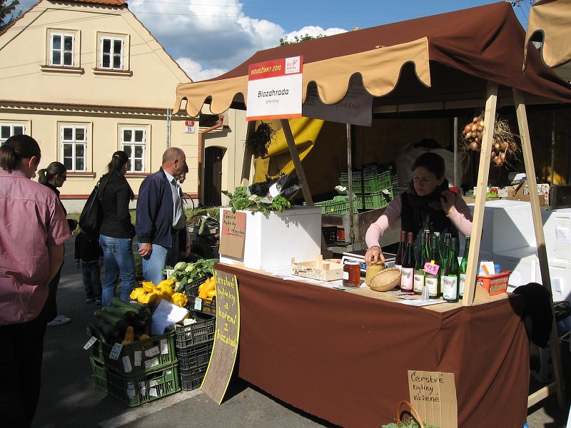 BIONDOŽÍNKY 2010