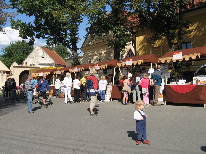 BIONDOŽÍNKY 2010