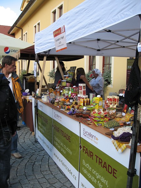 BIONDOŽÍNKY 2010