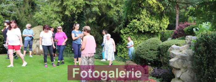 Fotogalerie